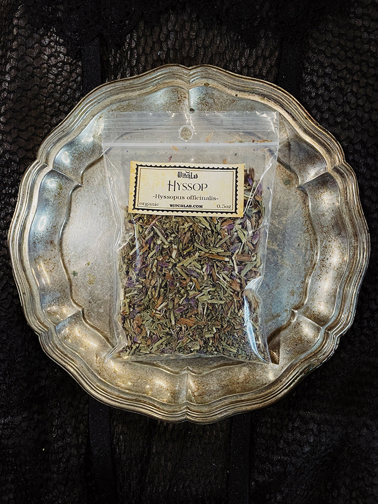 Hyssop Loose Herb Organic 0.5oz