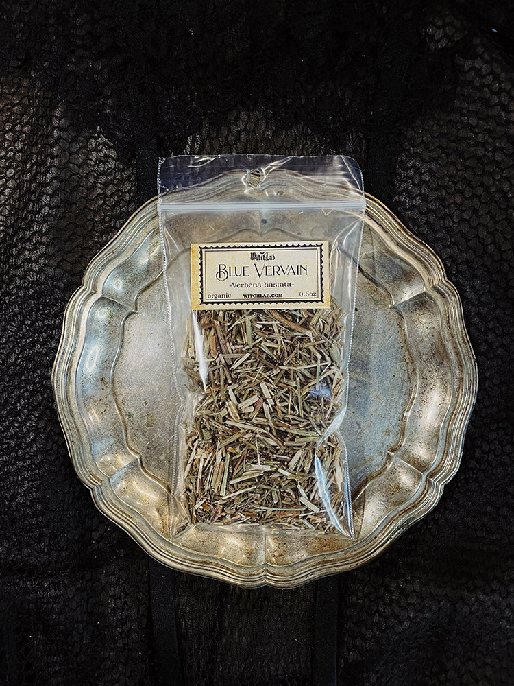 Blue Vervain Loose Herb Organic 0.5oz