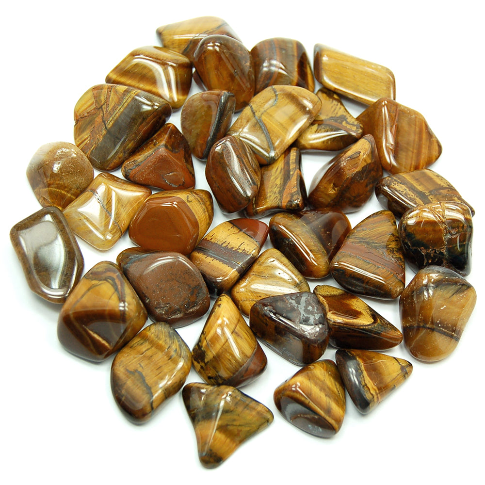 Tumbled Tiger's Eye #T1