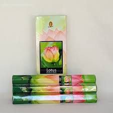 
                  
                    Kamini Incense Sticks 20 ct
                  
                